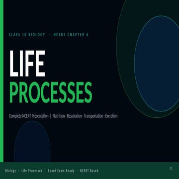 Life Processes Class 10th PPT | PPTX