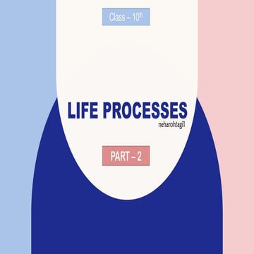 Life Processes Class 10th Part 2 CBSE NCERT
