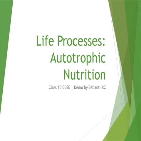 Life_Processes_Demo_Presentation_Full.pptx