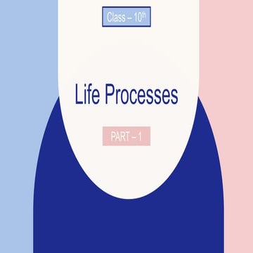Life processes "Part 1" " Class 10"