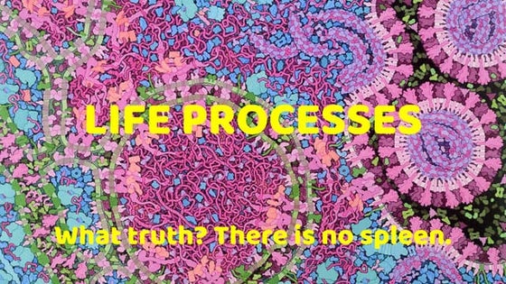Analysis of "Life Cycle" by Bruce Dawe | PPTX