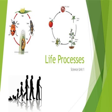 Life Processes Unit 1.ppt. power point presentation | PPTX