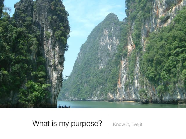 Life Purpose e book