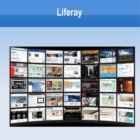 Liferay introducing