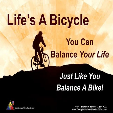 Lifes A Bicycle Presentation to CAPA Feb 2017