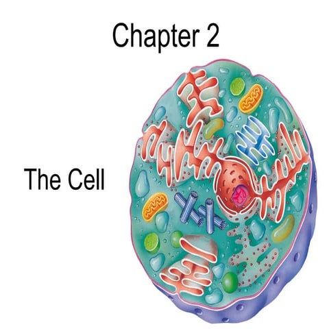 Life Science   Chapter 2   The Cell