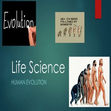 Life science   evolution