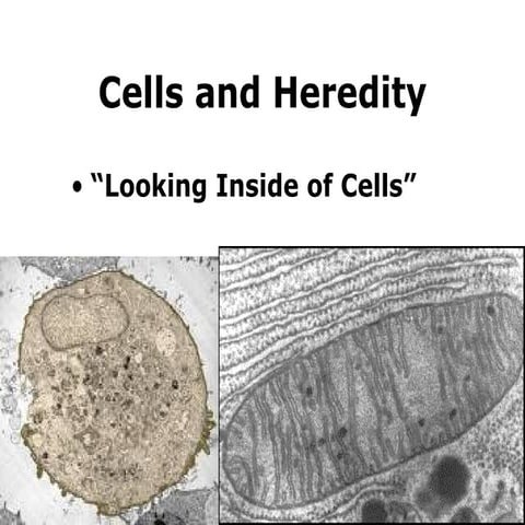 Life Science.Part2.Looking Inside Cells