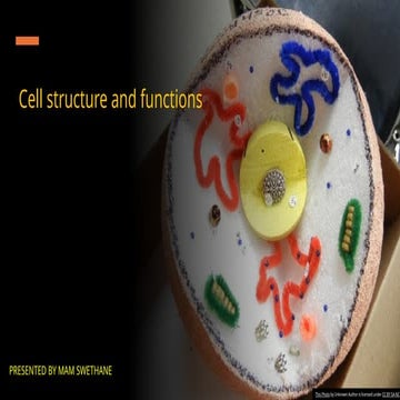 Grade 10: Life Sciences. Cell structure and Functions | PPTX