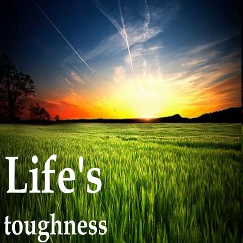 Life's toughness