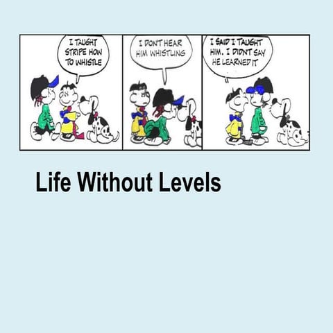 Life Without Levels INSET