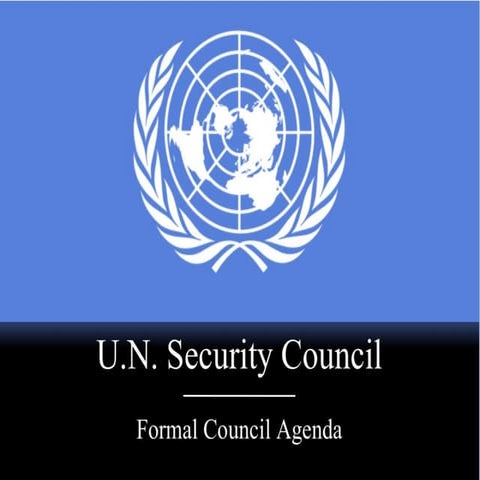 United Nations Security Council