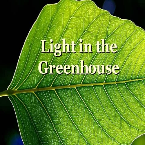 Light In The Greenhouse