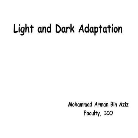 Light and Dark Adaptation