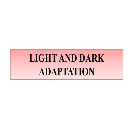 Light and dark adaptation chinnu