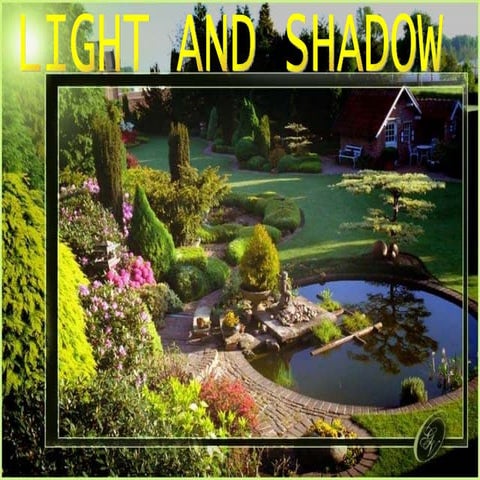 Light and shadow  ildy