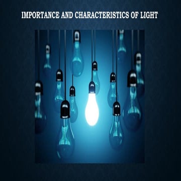 Comprehensive Guide to Lighting Techniques in Photography: Natural and ...