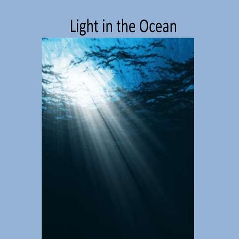 Light in the ocean