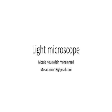 Light microscope