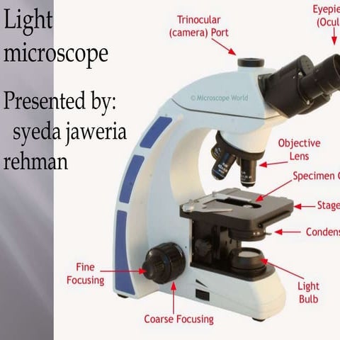 Light microscope