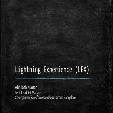 Lightning experience (LEX)_Dec meetup