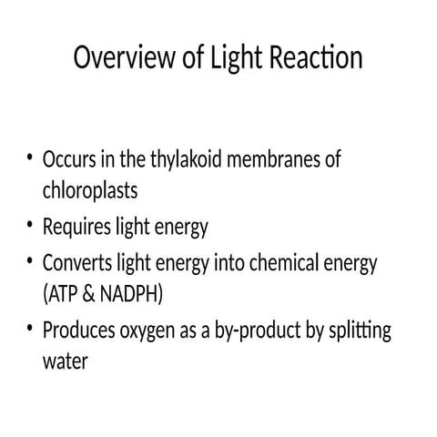 LightReaction of photosynthesis z scheme2.pptx
