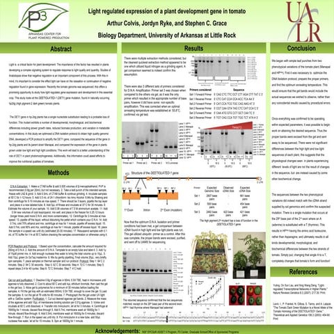 Light regulated expression of a plant development gene in tomato