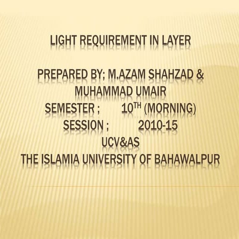 Light requirement in layer
