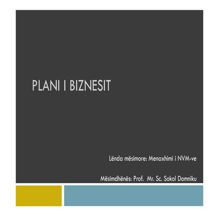 Plani i Biznesit