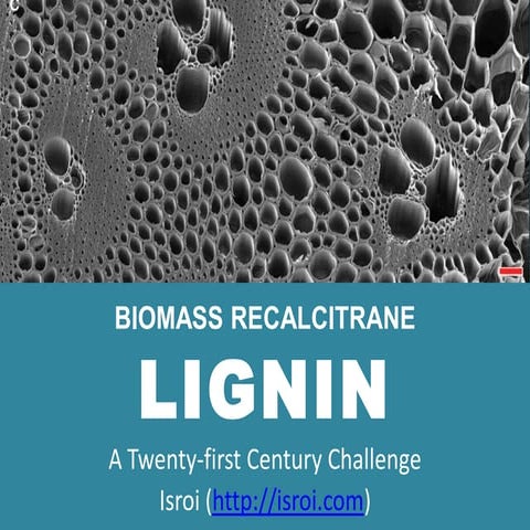 Lignin biomass recalcitrane