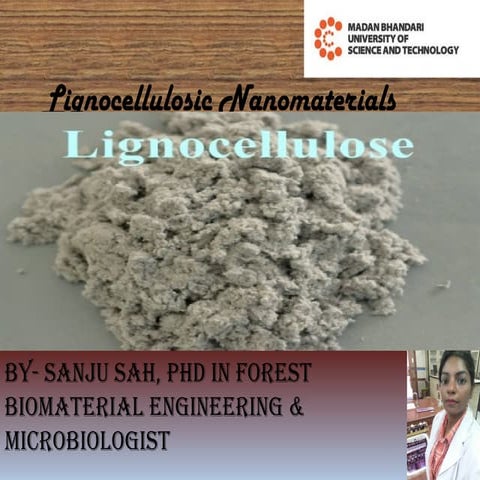 Lignocellulose nano-material slide (1).pptx