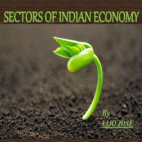 Sectors of Indian Economy