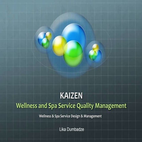 Lika dumbadze kaizen 