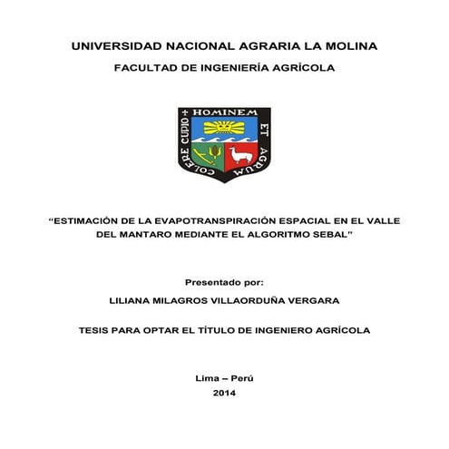 Liliana Milagros Villaorduña Vergra-Tesis Universitaria
