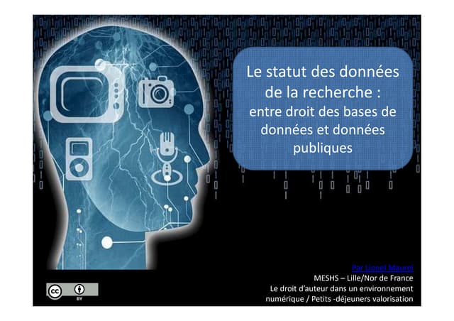 Le statut des données de la recherche : entre droit des bases de données et d...