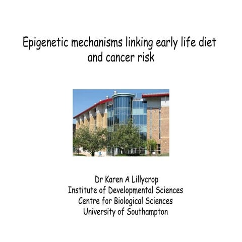 Maternal Nutrition and Epigenetics | PDF