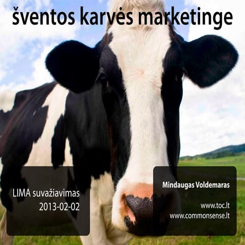 Šventos karvės marketinge