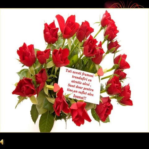 Limbajul trandafirilor(1)