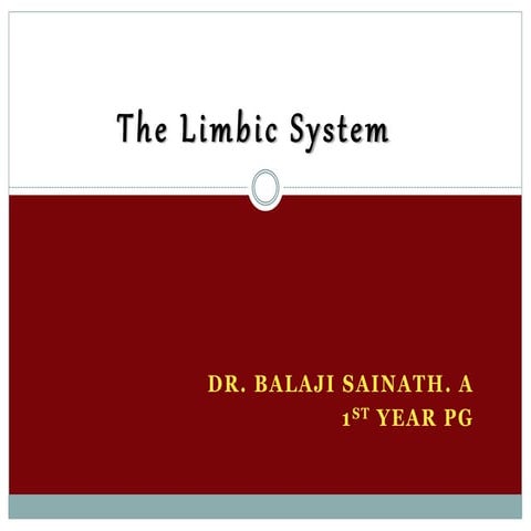 Limbic.system