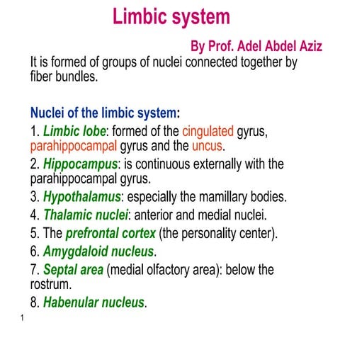 Limbic System
