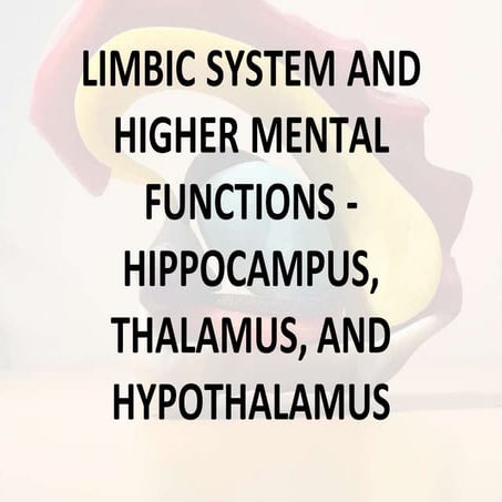 LIMBIC SYSTEM VENTICLES OF BRAIN CSF AND ITS FUNCTIONS | PPT