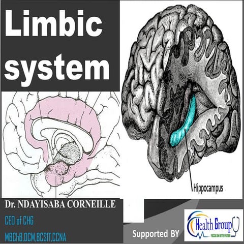 Anatomy and physiology of Limbic System.pdf