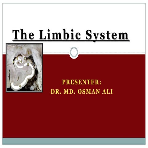 Limbic system by dr ali