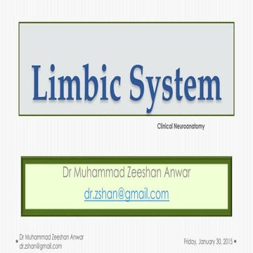 Limbic system Neuroanatomy (Dr Muhammad Zeeshan Anwar)