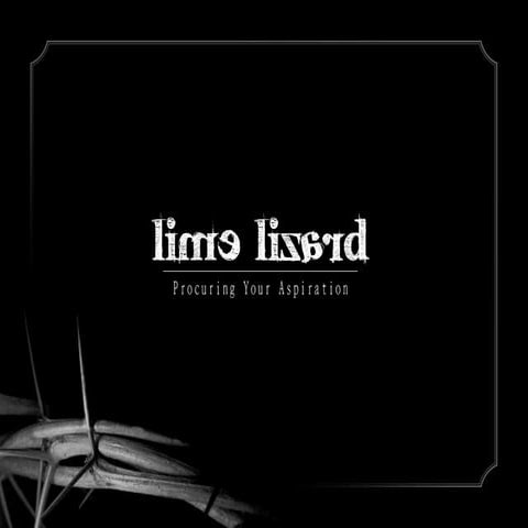 Lime Lizard Events & Media