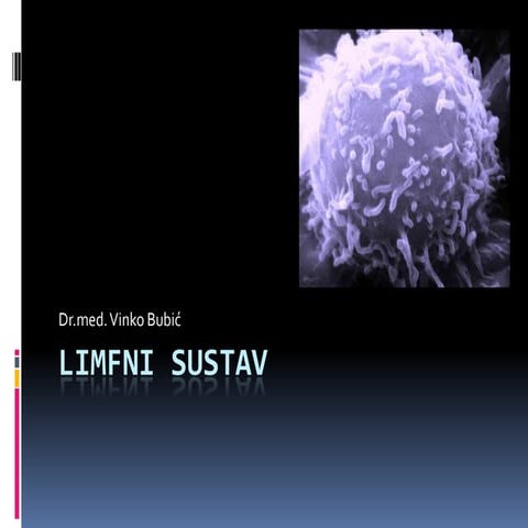 Limfni sustav | PPTX