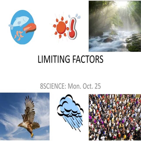 Limiting factors
