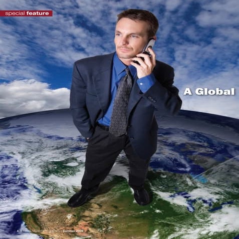 Article:  From Best Practice to Success Transfer