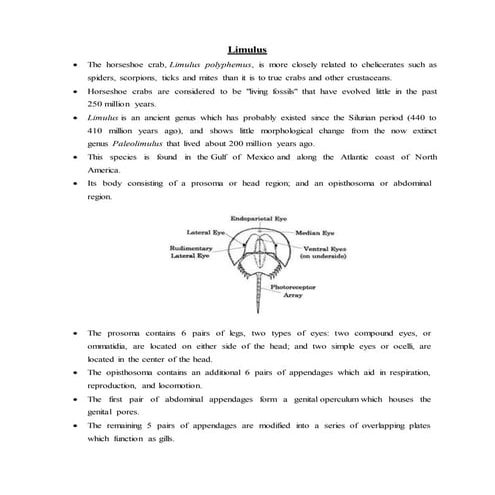 Limulus
