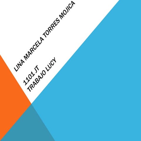 Lina marcela torres mojica